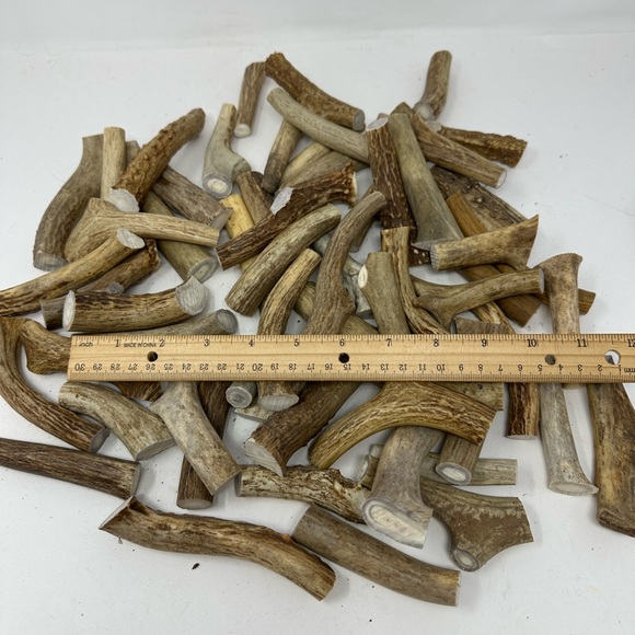 Lot Of 3 Real Medium Whitetail Deer Antler Dog Chews For Medium Sized Dogs - Picture 2 of 2